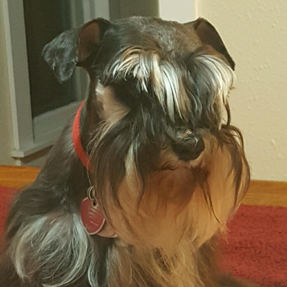 Meet your Posher, Diane